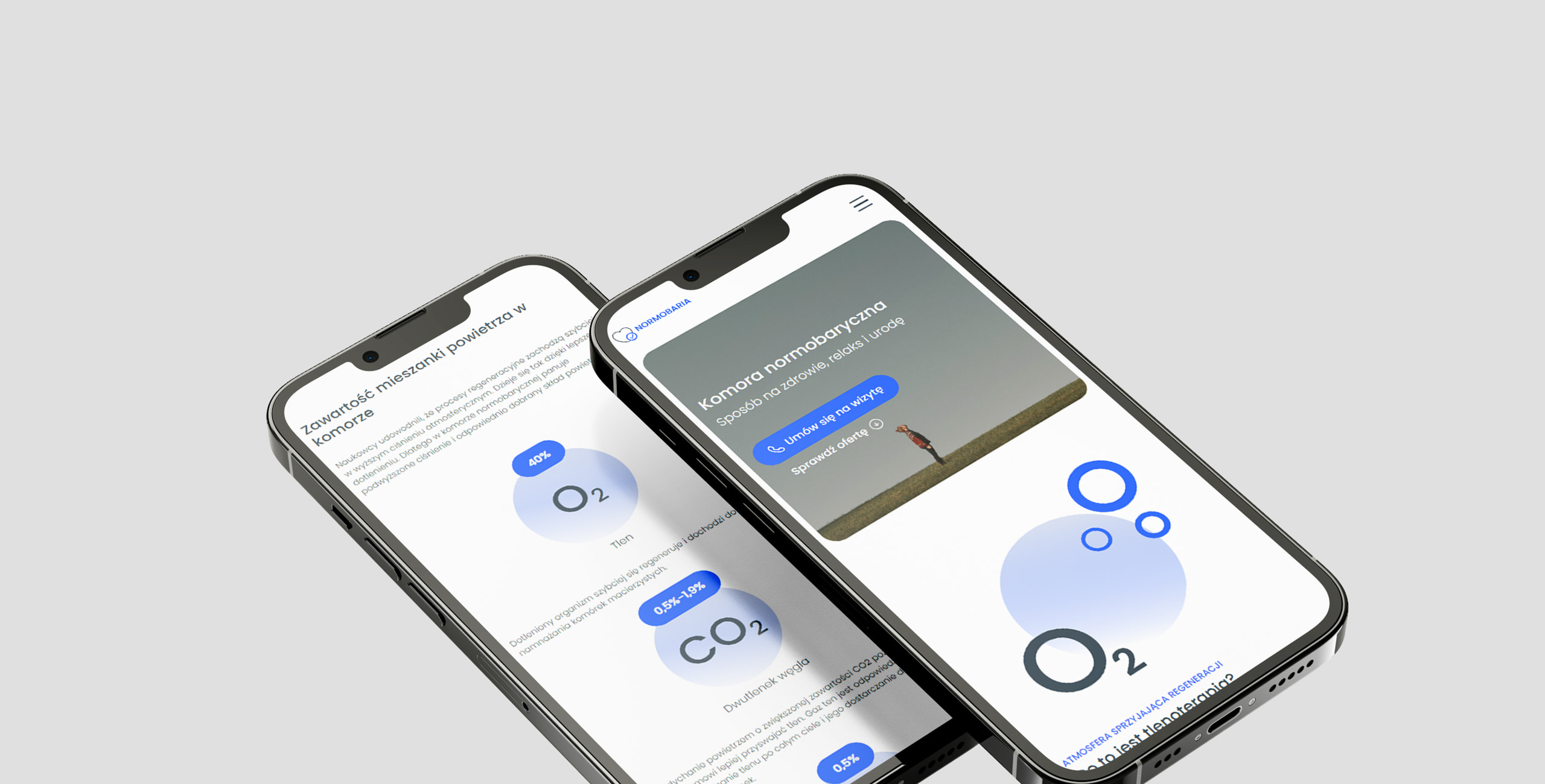 Obrazek z widokami mobilnymi strony Normobarii